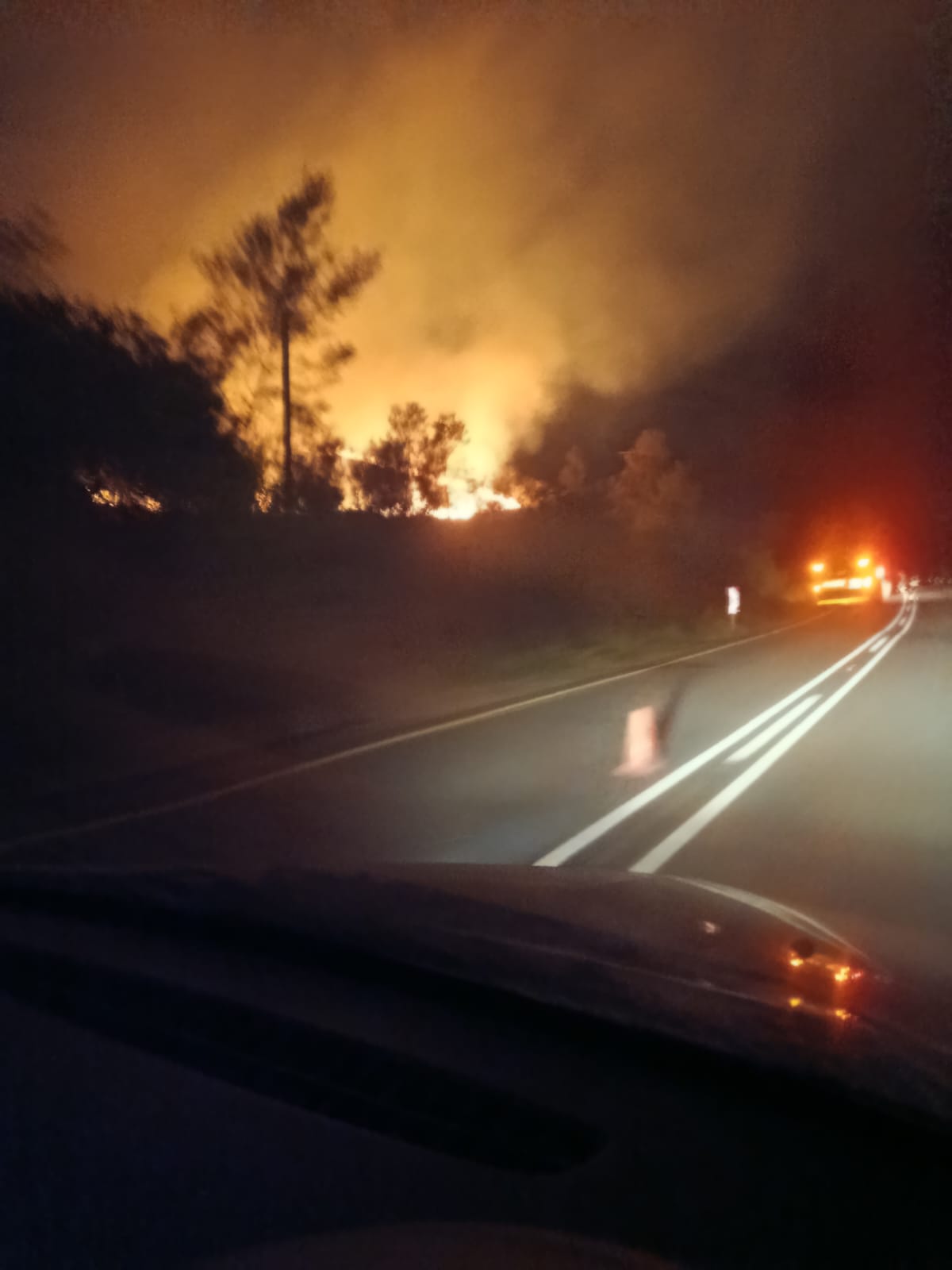 Active veld fire and emergency response vehicle during wildlife rescue support with Hessequa fire services.