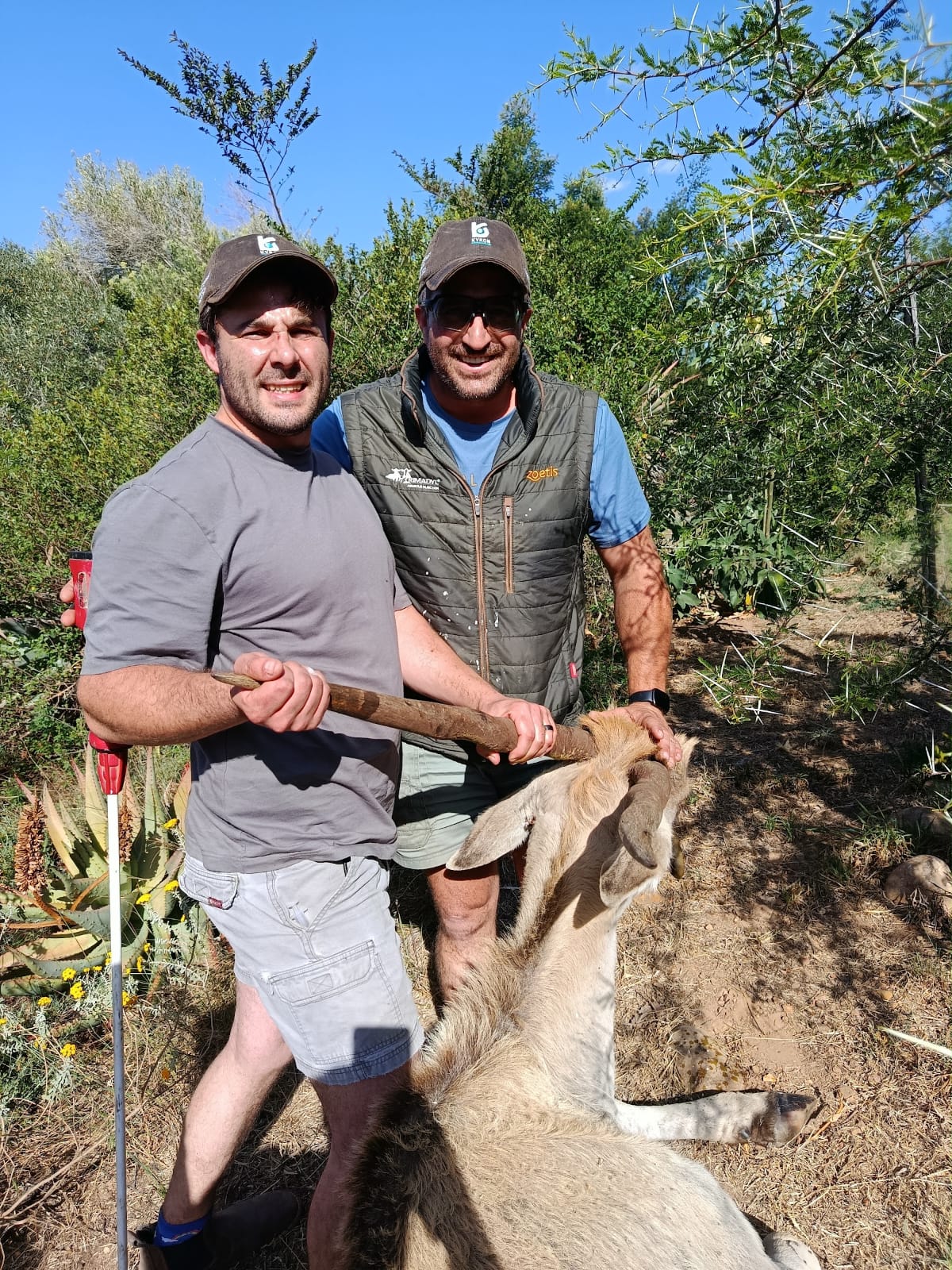Wildlife veterinarian and field support team working together during an animal intervention in South Africa.