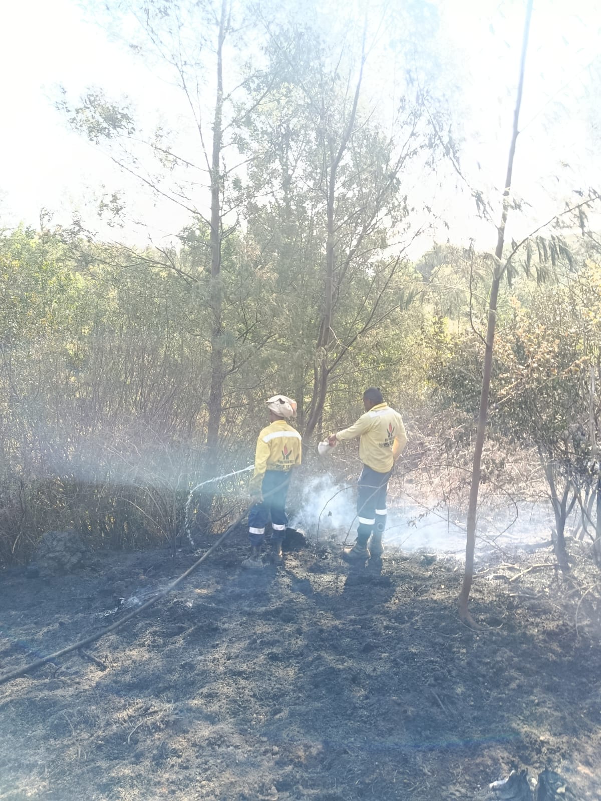 Fire response personnel damping down burned vegetation during post-fire wildlife recovery work in South Africa.